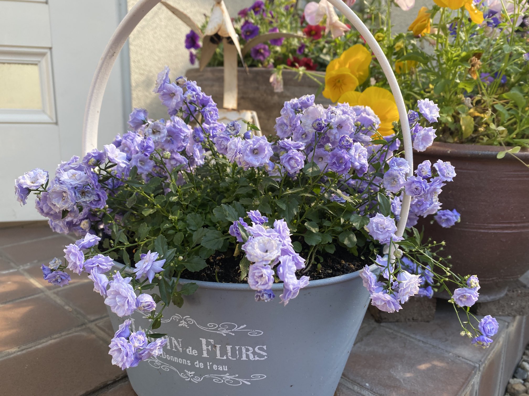 13reflection 13reflection Twitter