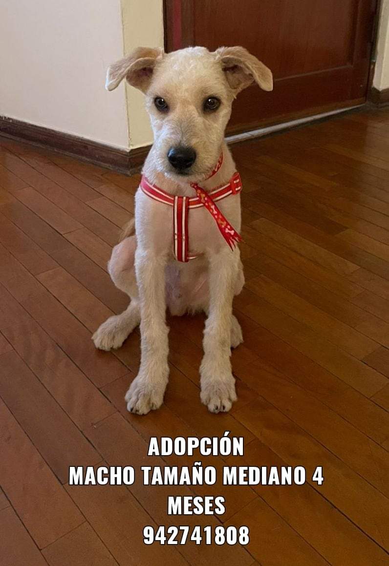 Tetris Mind tweet media