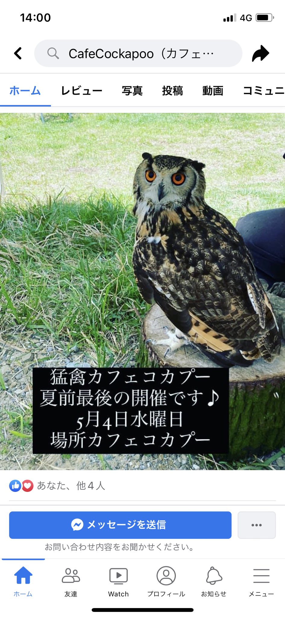 コカプー Twitter Search Twitter