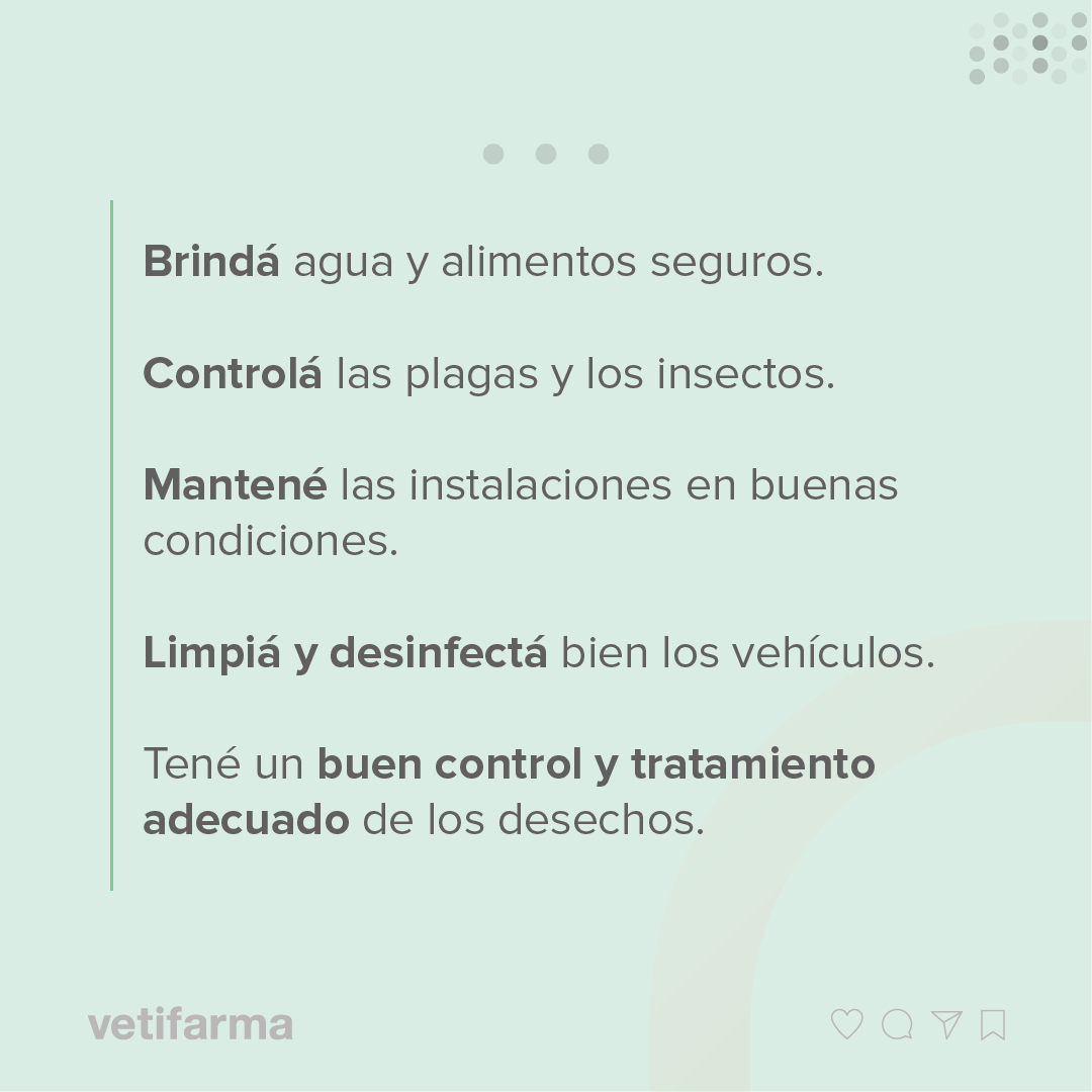 vetifarma's tweet photo. Para prevenir la aparición de enfermedades en tu granja, recordá que es fundamental la aplicación de medidas de bioseguridad. ⁣
⁣
¡Mirá nuestras recomendaciones!⁣
⁣
Ante cualquier duda, consulte a su veterinario de confianza. https://t.co/I2Oy3kBjPY