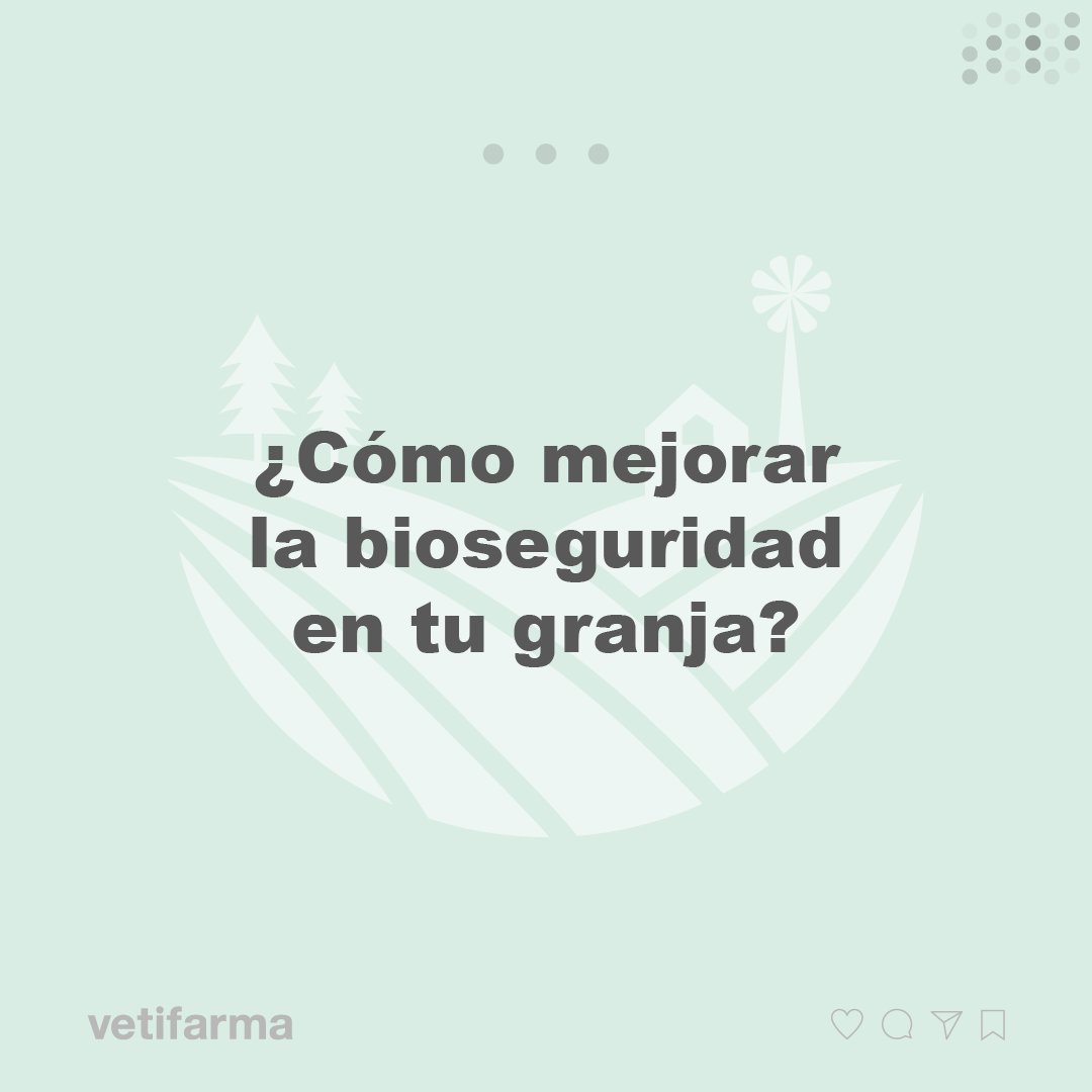 vetifarma's tweet photo. Para prevenir la aparición de enfermedades en tu granja, recordá que es fundamental la aplicación de medidas de bioseguridad. ⁣
⁣
¡Mirá nuestras recomendaciones!⁣
⁣
Ante cualquier duda, consulte a su veterinario de confianza. https://t.co/I2Oy3kBjPY