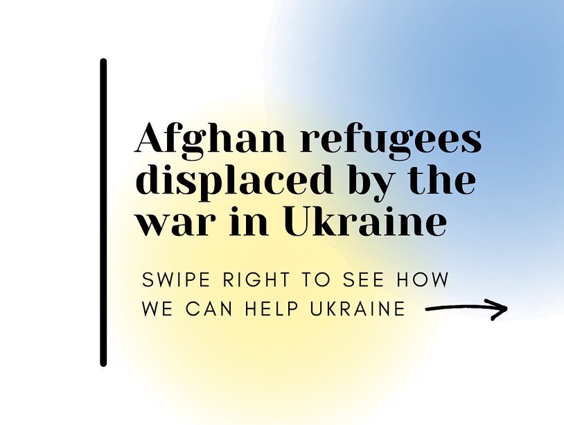 Lawyers Without Borders tweet media