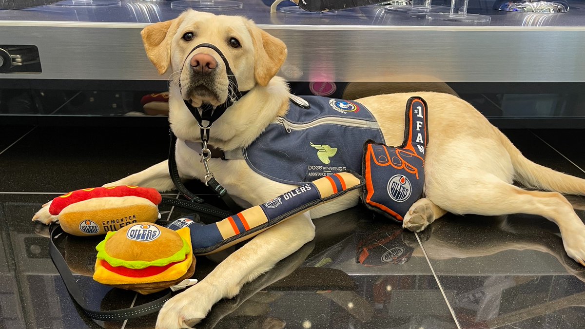 EdmontonOilers's tweet photo. A series win AND Flex's birthday? What a week. ๐
Yes she was spoiled. ๐
#LetsGoOilers https://t.co/QR3HAC3Nny