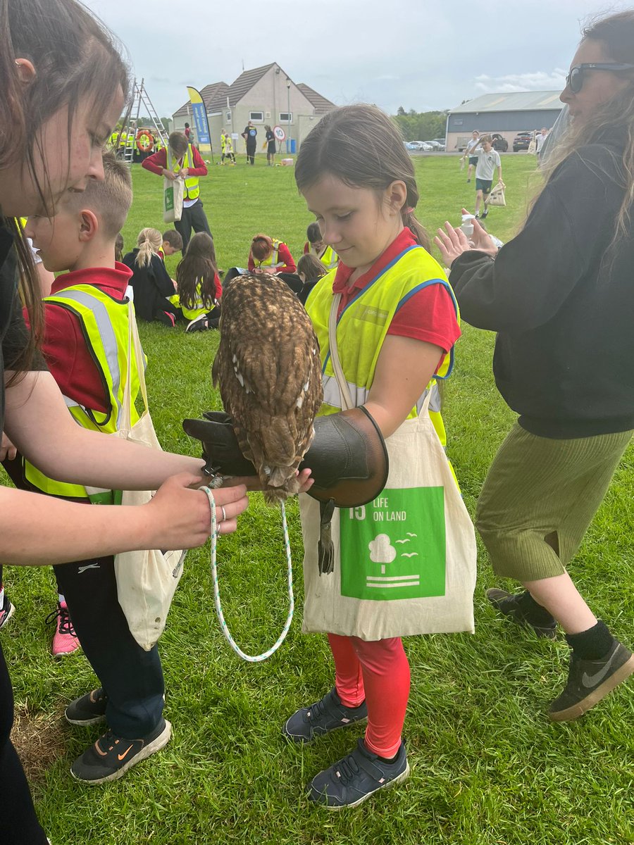 Philiphaughcs's tweet photo. A fantastic day at the Countyside Day at Kelso today. The Primary Fives had a super time learning about farming and the wider Borders community. Thank you to all involved 😊. https://t.co/dfRA4TpXVD