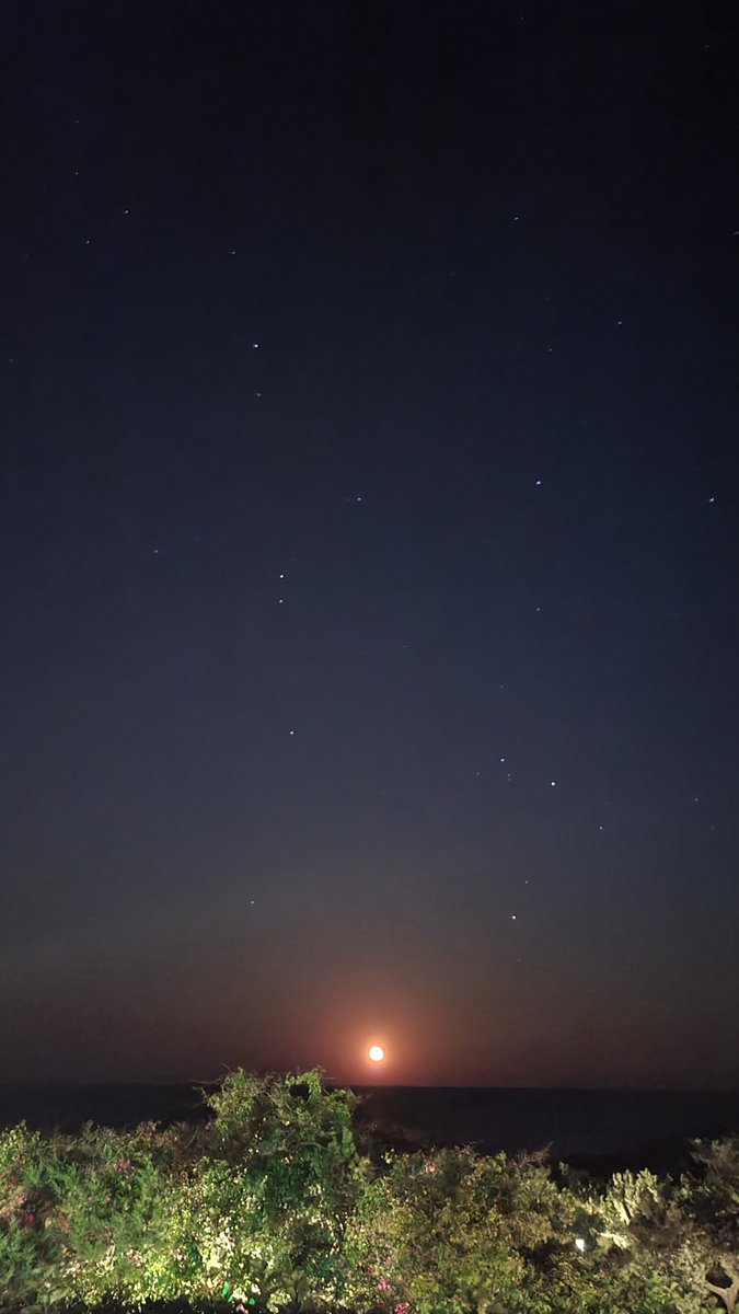 Science_Mob's tweet photo. Full flower #BloodMoon #BLOODMOON2022 #bloodmooneclipse #Nofilter https://t.co/2hI1dKmW3r