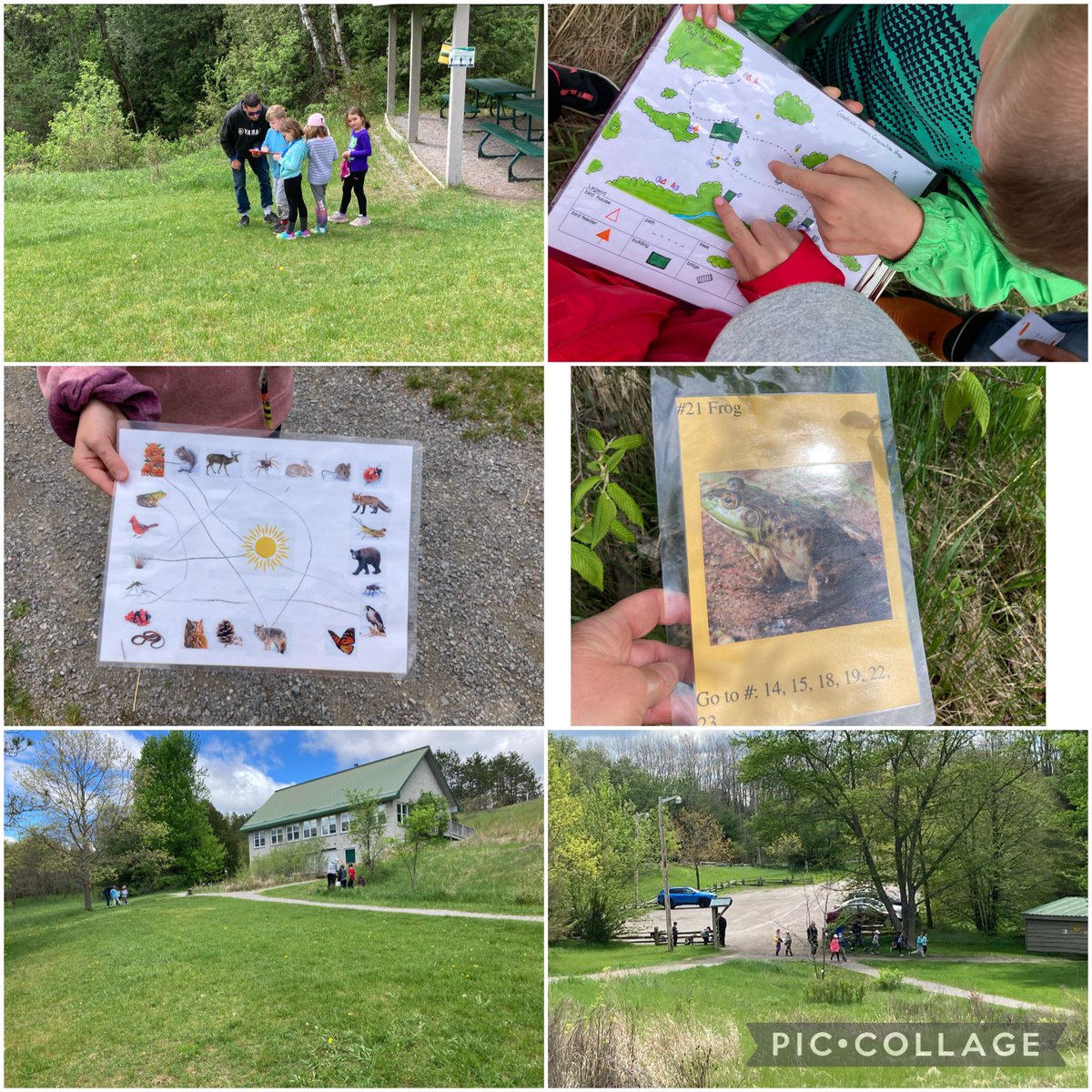 LoomisCentre's tweet photo. Energy transfer Food Chain mapping, stream creature study and some hike games… 🥱 gr 1/2 @StockdalePS were still going strong! https://t.co/sgcbzN2IaJ