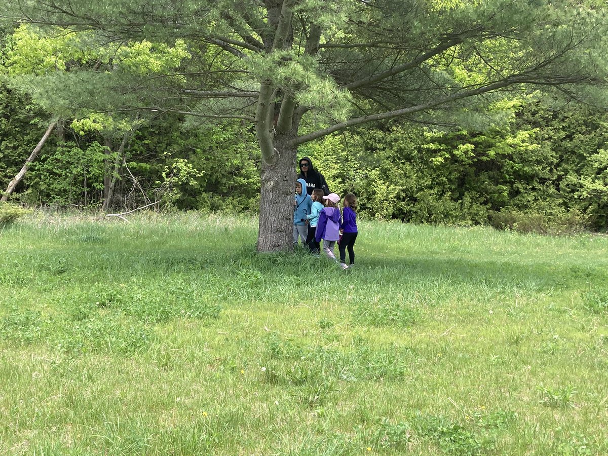 LoomisCentre's tweet photo. Energy transfer Food Chain mapping, stream creature study and some hike games… 🥱 gr 1/2 @StockdalePS were still going strong! https://t.co/sgcbzN2IaJ