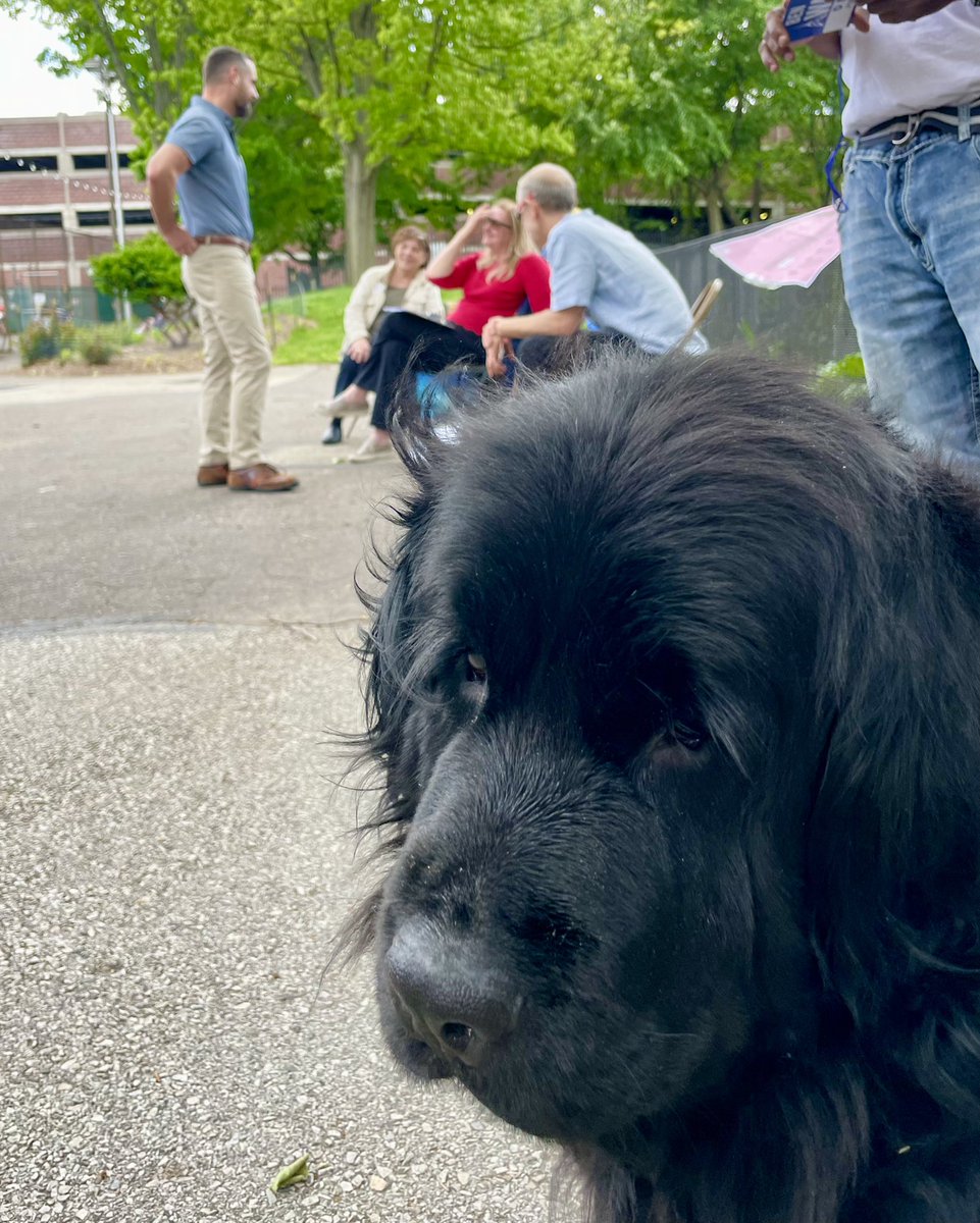 BrianSimsPA's tweet photo. MY DAD! Yeah he’s always on the move and sure he can be light on dog treats but overall, he’s a good scratcher, camper, and dog dad. If equality, hard work, and canine love matter to you…please consider voting for my favorite guy in Pawlatics Brian Sims! #Sims4Pa https://t.co/auYzJN6TPj