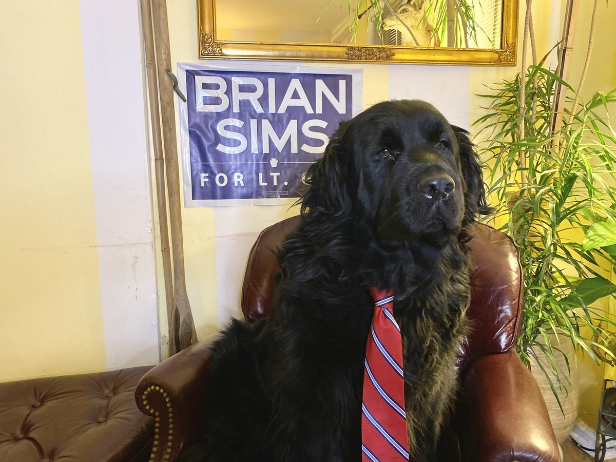 BrianSimsPA's tweet photo. MY DAD! Yeah he’s always on the move and sure he can be light on dog treats but overall, he’s a good scratcher, camper, and dog dad. If equality, hard work, and canine love matter to you…please consider voting for my favorite guy in Pawlatics Brian Sims! #Sims4Pa https://t.co/auYzJN6TPj
