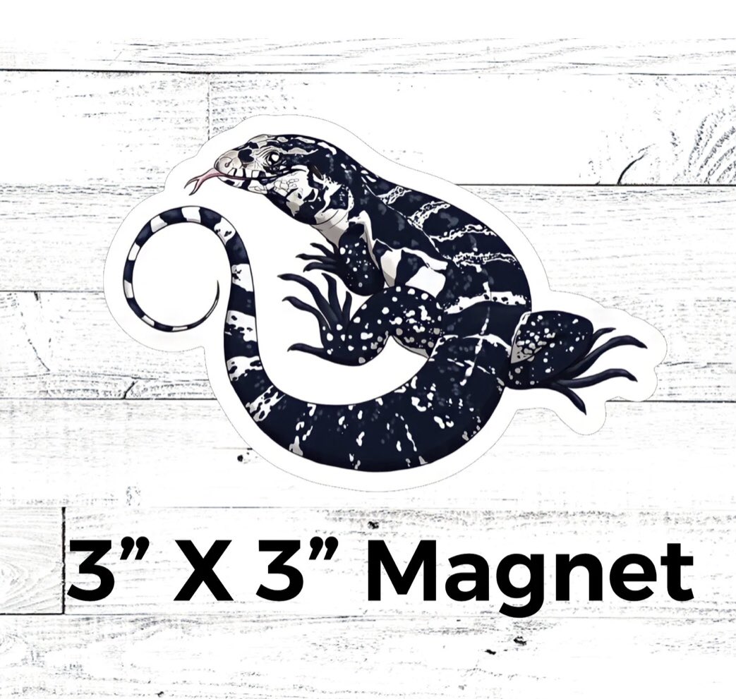 ageckoandhispjs's tweet photo. Do you love Black And White Tegus (Argentine Black And White Tegu)? Then our Tegu magnet is perfect for you.  Our magnets are perfect for fridges, lockers, magnet boards, filing cabinets, etc... The perfect Tegu accessory. 
#tegusoftwitter #lizardsoftwitter #reptilesoftwitter https://t.co/N9mPhABSa0
