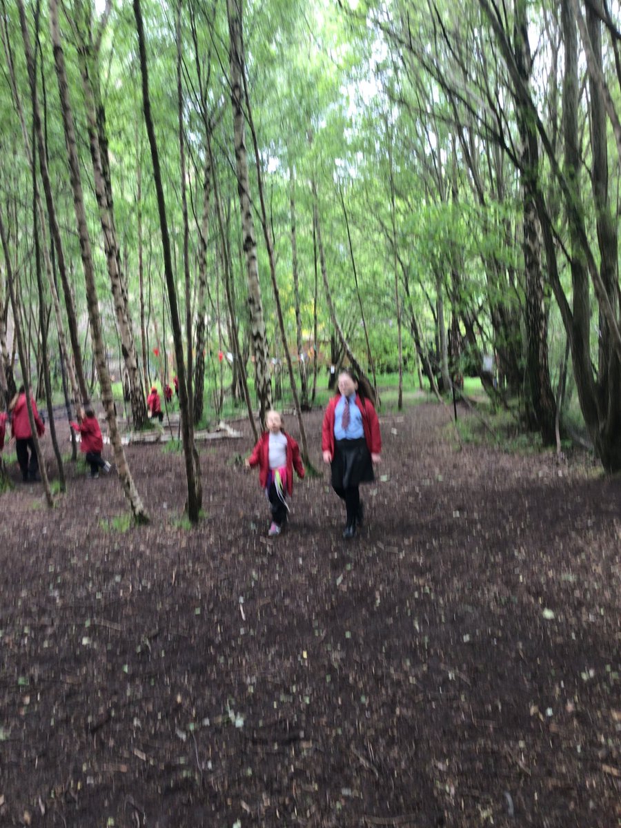 StCharlesGla's tweet photo. If you were down in the @childrens_wood today you wouldn’t have believed your eyes. Our #OutdoorLearning suits could be seen everywhere as our #PreEntry children met their P6 #Buddies for a play and a #TeddyBearsPicnic. #Article31 #OutdoorPlay https://t.co/pOhJ4akKUt