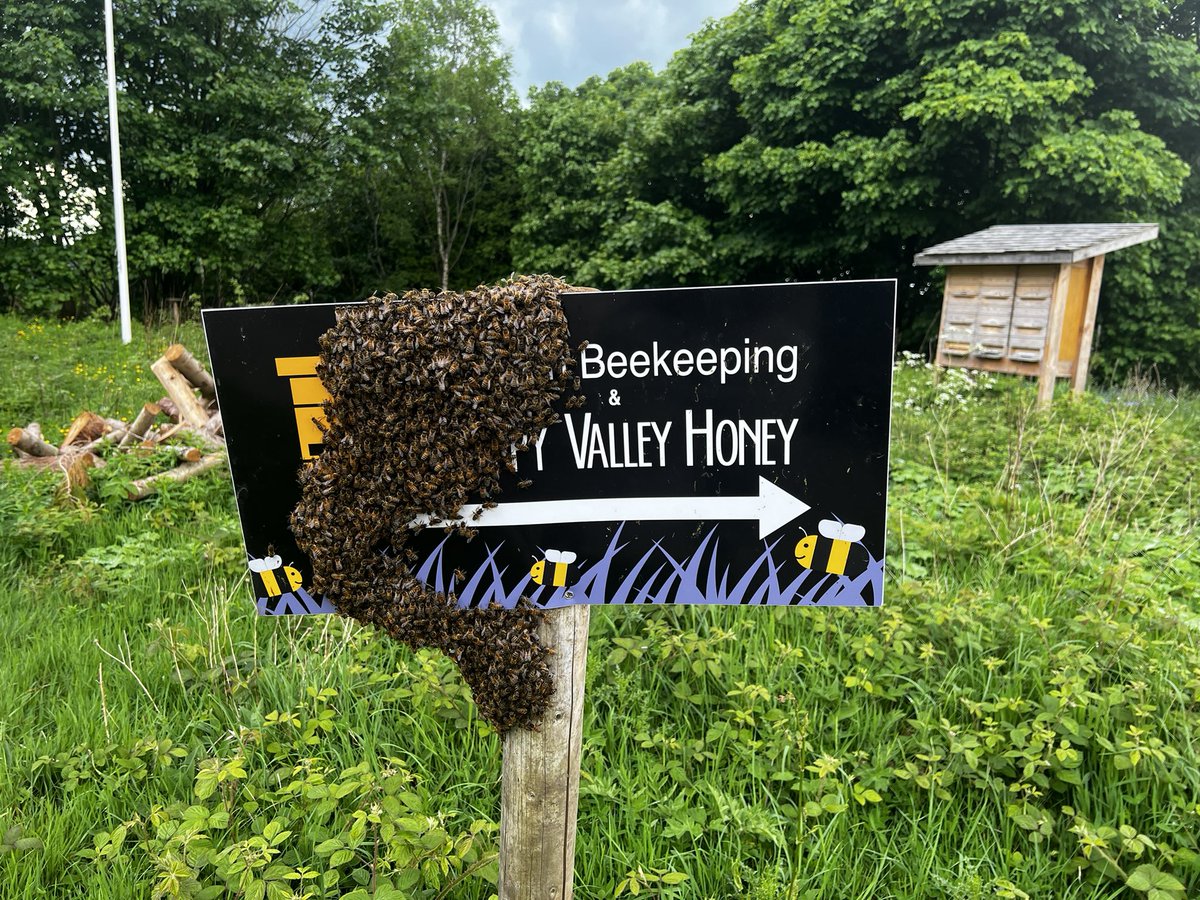 Modern Beekeeping tweet media