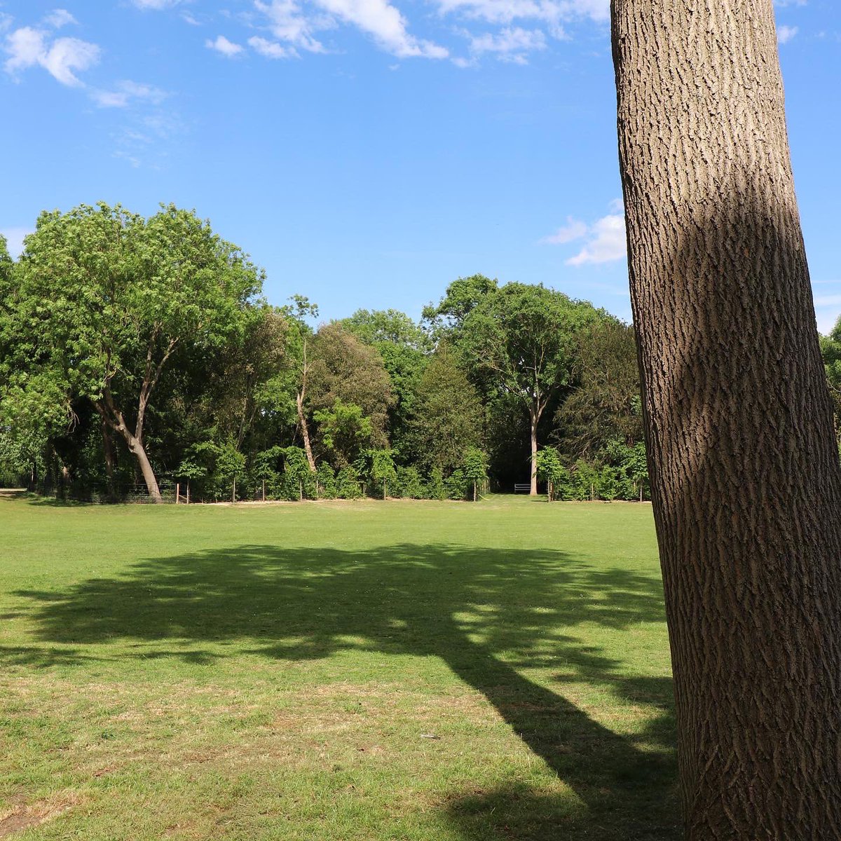 J & L Gibbons tweet media