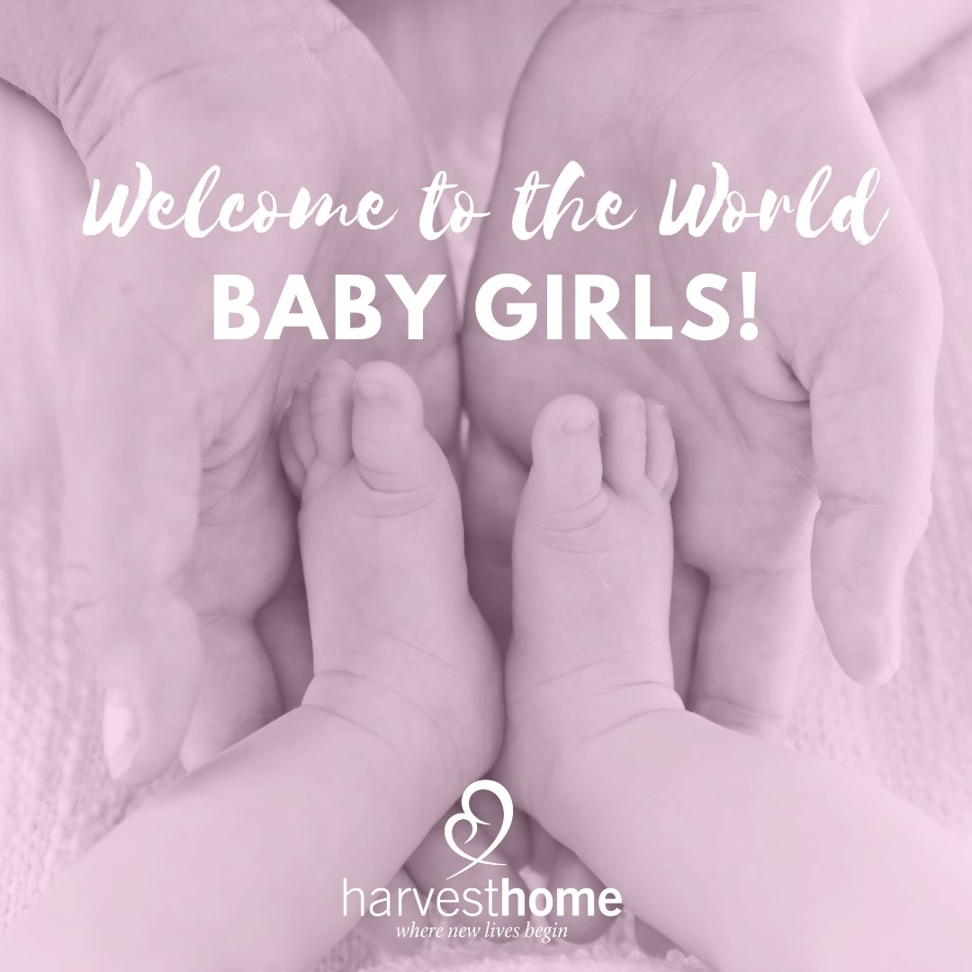 We’re celebrating BIG because we have not one new little baby girl but two sweet lovely little girls 💗💗 we have recently welcomed in to our Harvest Home family! Soon these babies will be one of the first to live in the Pico Home, move in is in just a few weeks!