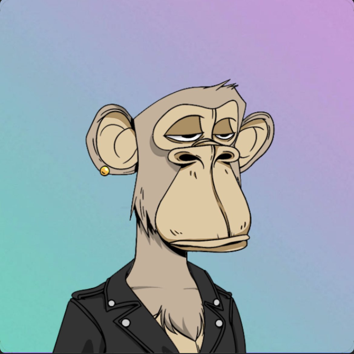 gerrypolt's tweet photo. Meet Fonz. 

Bored Ape Solano Club

#BASC #boredapesolanoclub #boredapenft https://t.co/Jrge8AayRf