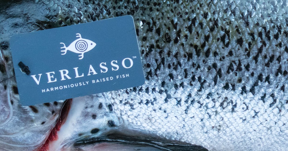 Our proven methods give way to premium salmon, raised using innovative sustainable farming techniques. Here at Verlasso, we're proud to be on the cutting edge of harmonious aquaculture.