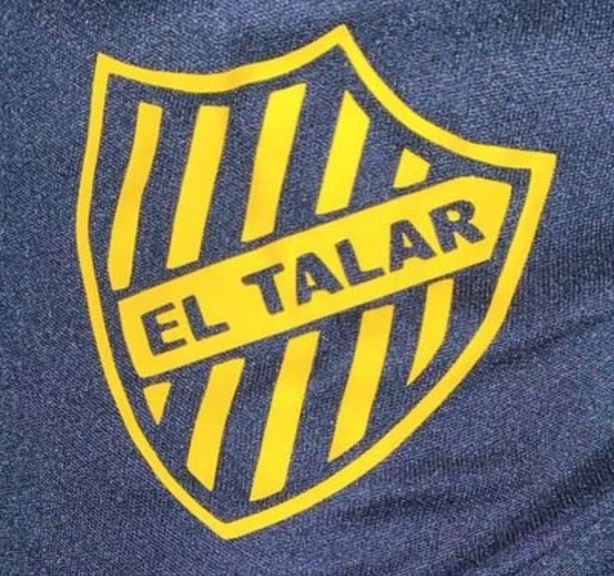 bafi_futsal's tweet photo. Le damos la bienvenida a nuestra #ComunidadBafi en Twitter al club @Eltalarbafi 
#somosbafi #somosfutsal https://t.co/lkEXqeBPpY