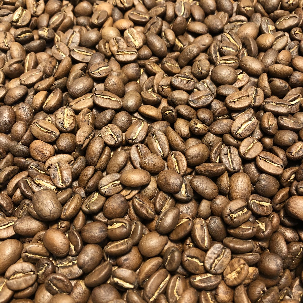 cafedlbosque's tweet photo. ¡Llegó café de Naolinco, región Coatepec!
Huele a caramelos y chocolates 👃
Sabe a miel, manzana y vainilla 🤤
Hacemos envíos 📦 a todo el país
#sinBosqueNoHayCafé
#caféDeEspecialidad
#protocoloSCA
#3catadoresQ
#tuesteMedio
#saborSinAmargor
#elCaféEsUnaFruta 🍒 https://t.co/bbhUxaCuJU