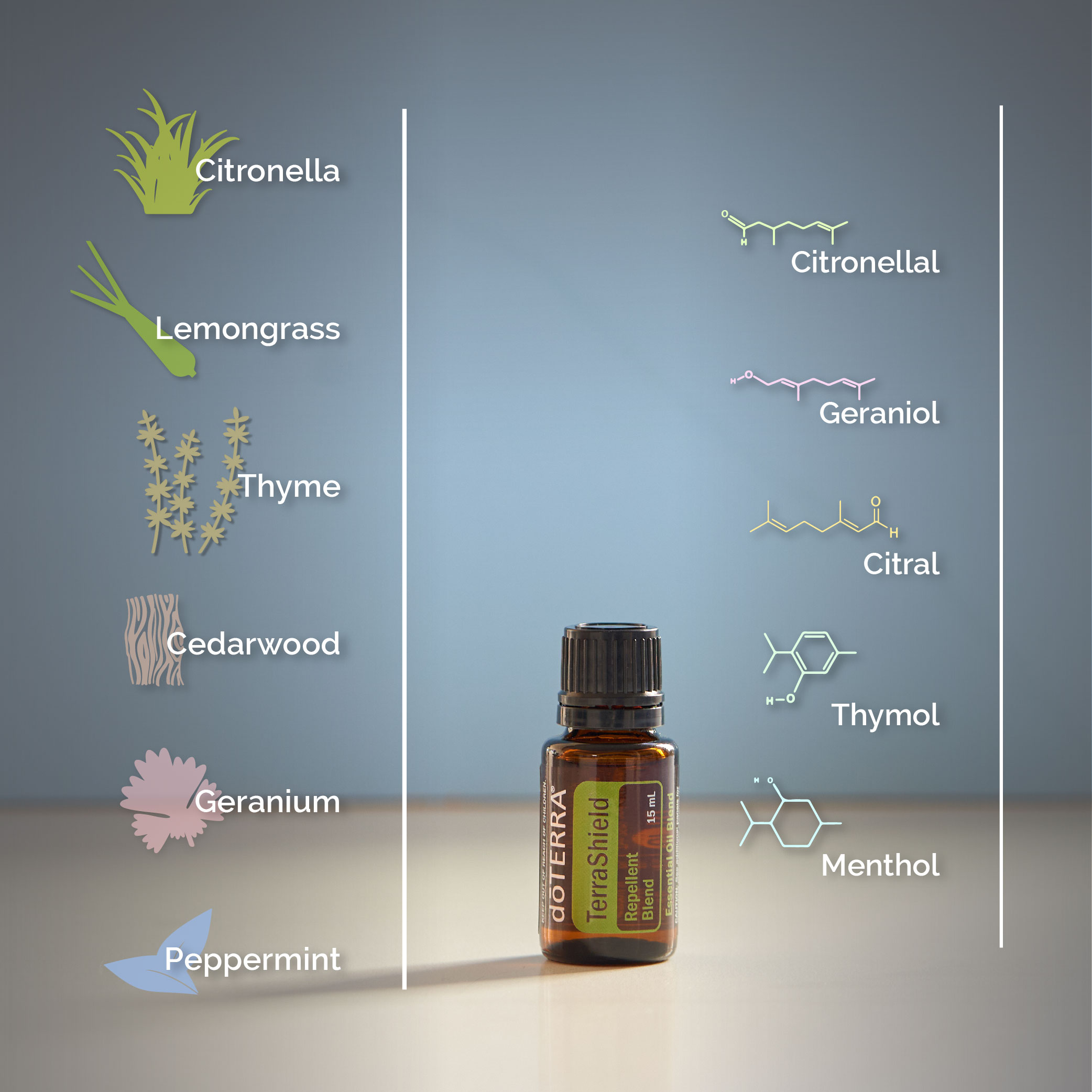 Doterra terrashield 2024