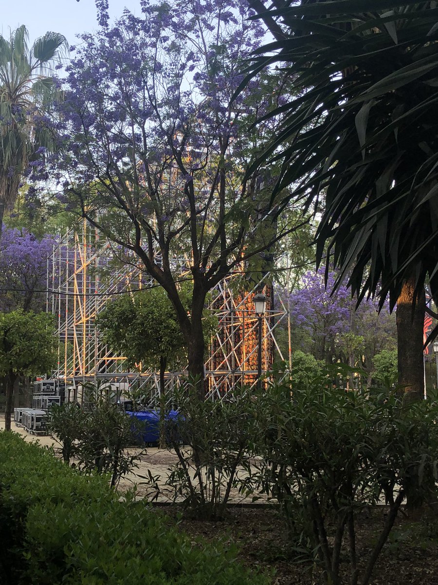 Die wird schon groß, die Leinwand. Hoffen wir, dass auch Platz und Bier reichen 😂 #SGEuropa