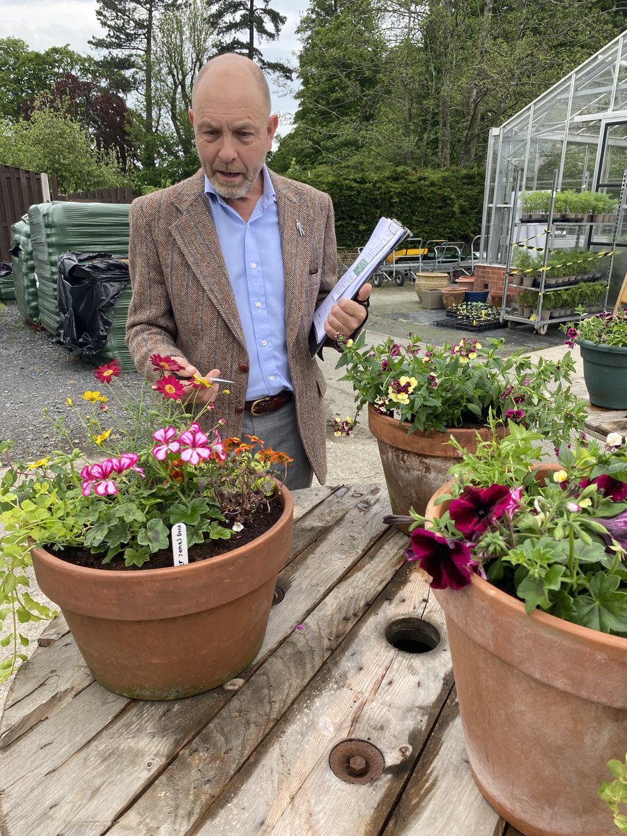 horticulturede4's tweet photo. Pete&amp;Sharon doing some judging in person&amp;photograph we also have our industry champion judging via email - nerve wracking waiting to hear who will be the winners🤞⁦@OswestryIn⁩ ⁦@OswestryTourism⁩ ⁦@kewgardens⁩ ⁦@TheMontyDon⁩ ⁦⁦@homesandgardens⁩ https://t.co/NUAu0mkscT