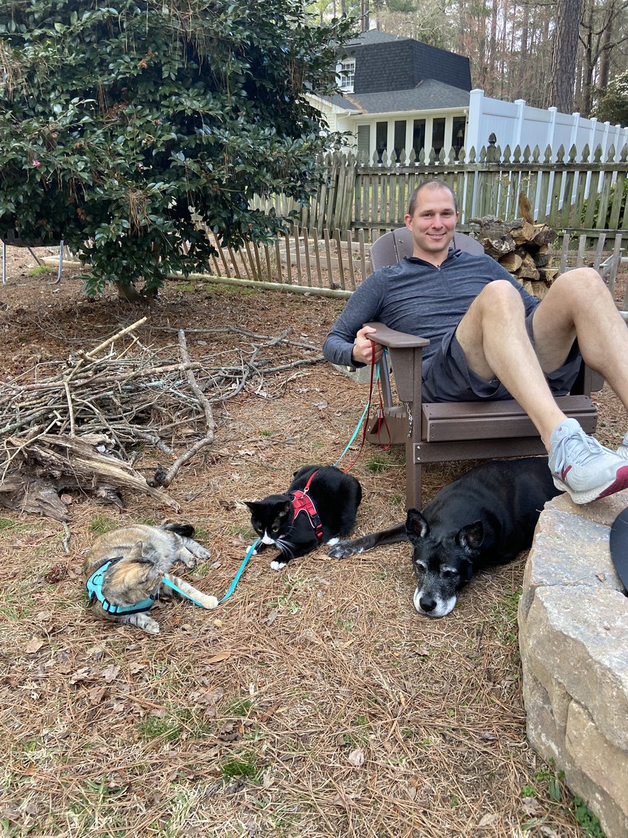 KathleenLEgan's tweet photo. @BBolander We had to rescreen our porch after letting them have outdoor outdoor time. Worth it? https://t.co/STkGZtVymQ