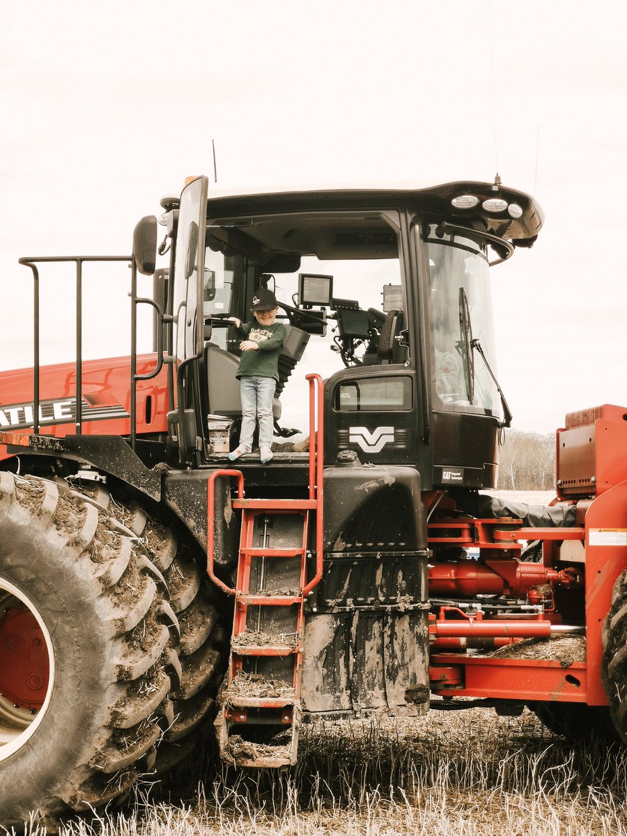 Cornerstone Seed tweet media