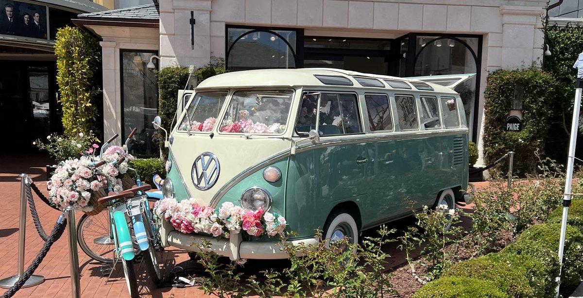 DannyGroove33's tweet image. New Van Sighting! #VansAndVibes @DippiesNFT