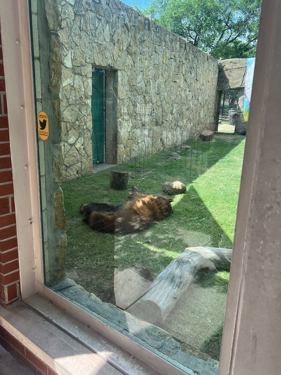 GHS_Ditto tweet media