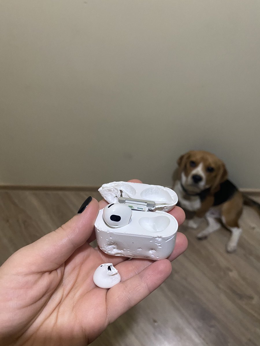 Да ты же мой хороший