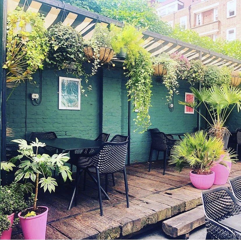 Our gorgeous sunny beer garden is the perfect spot to soak up these early summer rays 🥰☀️🪴💕

#summervibes #beergarden #Sunny #londonpub #hackney