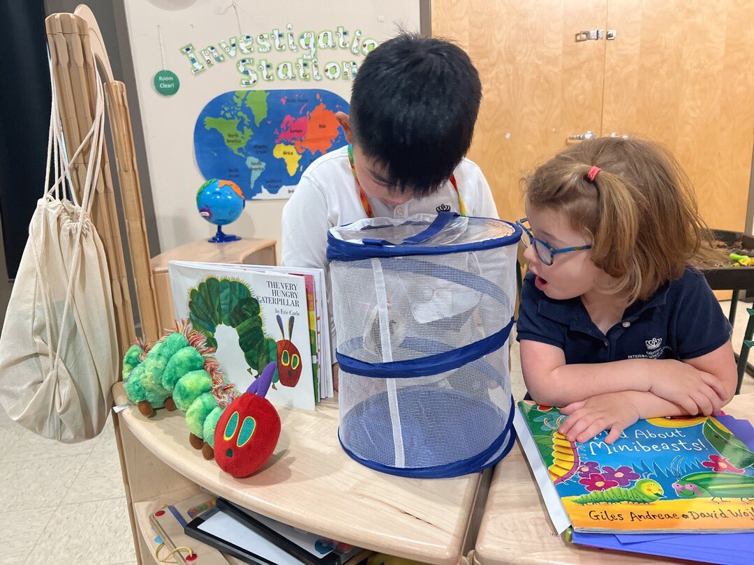 BISCLPNursery's tweet image. Each of our 7 caterpillars have now formed their very own chrysalis! Today, we carefully transferred them from their pot to the net, so they can emerge as butterflies! The children have been captivated by the whole cycle so far! 🐛 🦋 @BISCLincolnPark @The_IEYC