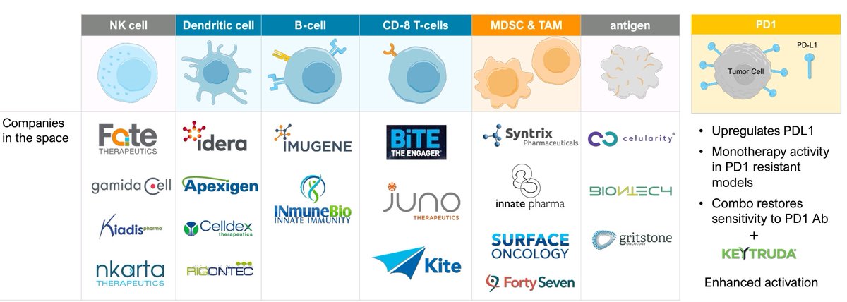 jamvest20's tweet image. Imagine a drug which can activate all these pathways whilst directly attacking the tumor
Portage have this ! Nkarta(NK cell) closest compsrable released prelim data 
60%CR RATE!

PORT-2 recruits B ,T, dendritic &amp;amp; Nk cells ! Full immunological response! 

$PRTG #ASCO22 $NKTX #iNKT
