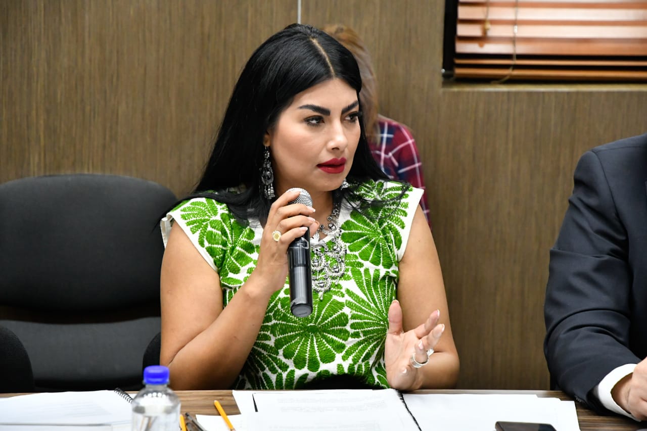Legislatura Edomex on Twitter "Diana Pérez Barragán, titular de 