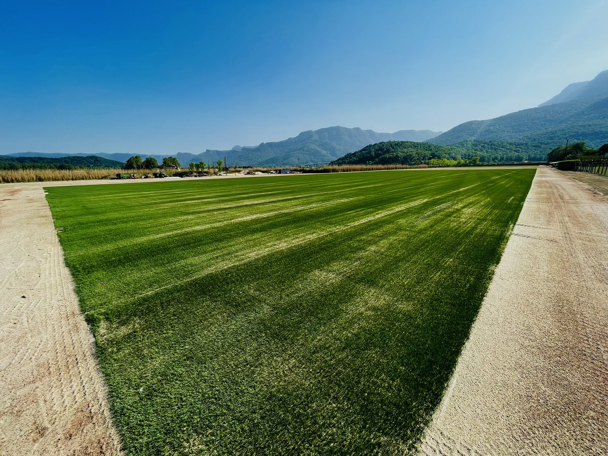 COMPOEXPERTTurf's tweet photo. A big thank you to @royalverd for their hospitality with the visit of the ETS to their hybrid turf fields and sport training ground. #expertsforgrowth @CompoExpertmatt @AgrovistaAMNTY @tomwood_turf https://t.co/DzF7c07tSu
