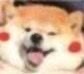 _Zeushey's tweet photo. @nodted 好好学中文 爱你 https://t.co/64hRze0uE5