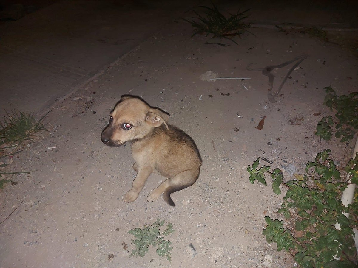 Una lavadita y para mi morra