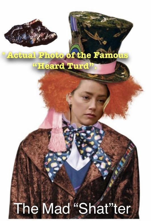 dudeonthebay's tweet photo. Amber Heard wants desperately to convince the court she is as eloquent, intelligent and dignified as these two ladies. Sadly, sheβs just the #MadShatter and everyone knows it now. #CamilleVazquez #JohnnyDeppVsAmberHeardTrial https://t.co/rh45MuhZGV
