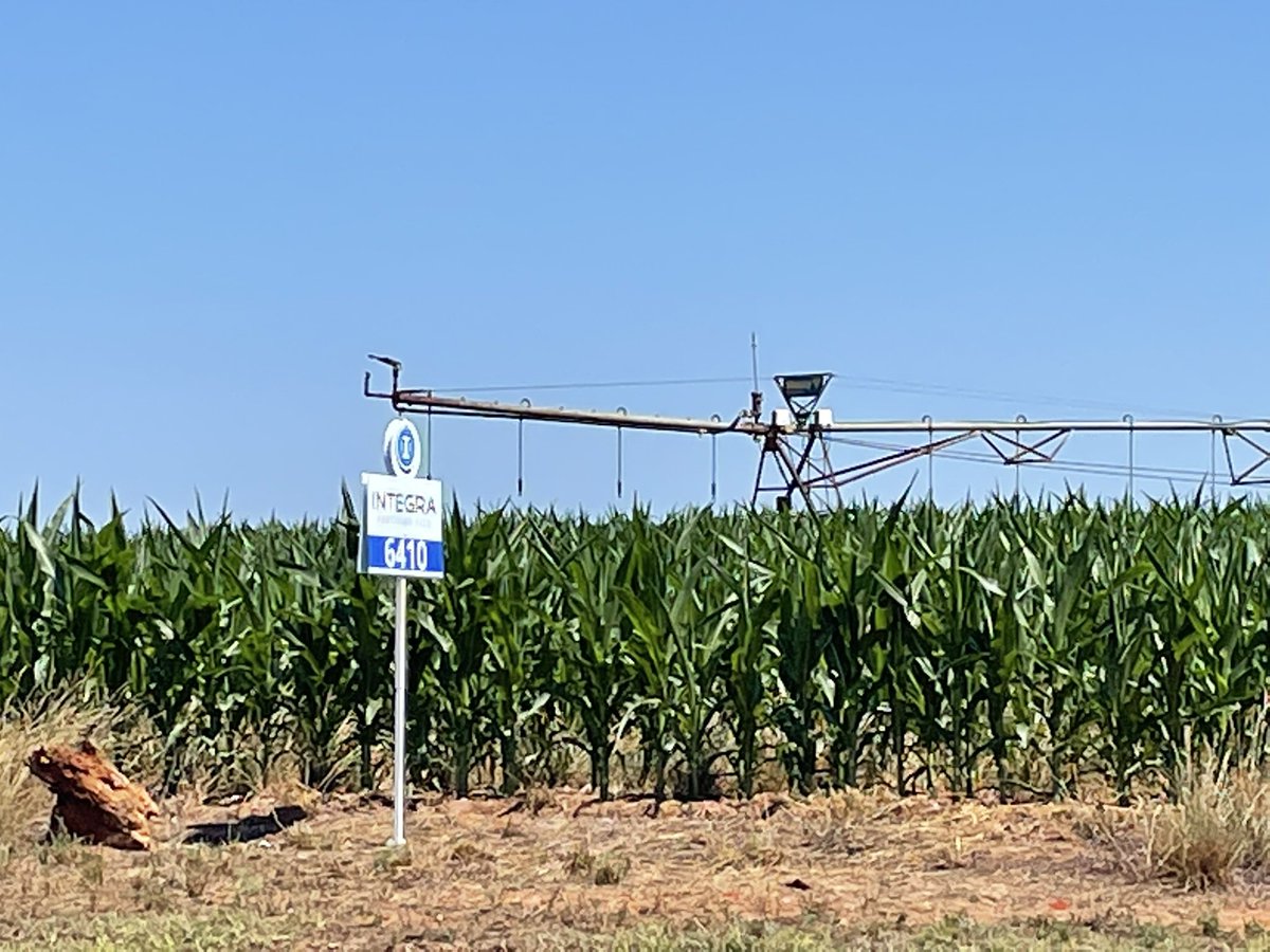 SeedNEWS4You's tweet photo. INTEGRA 6410 showing off in Albany, GA πͺπ½ #getPERFORMANCE https://t.co/m7UM5IvsMi