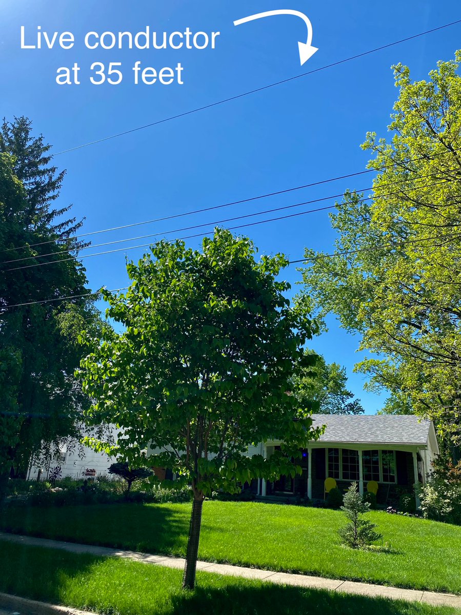 OlsonTreeCare's tweet photo. UNDER 30 FOOT TREES
Japanese lilac (Syringa reticulata)
Common chokecherry (Prunus virginiana)
Eastern redbud (Cercis canadensis)
Hawthorne (Crataegus)
Serviceberry (Amelanchier)
American hophornbeam (Ostrya virginiana)
Dogwood (Cornus)
American witchhazel (Hamamelis virginiana) https://t.co/dAgAV4zEoX