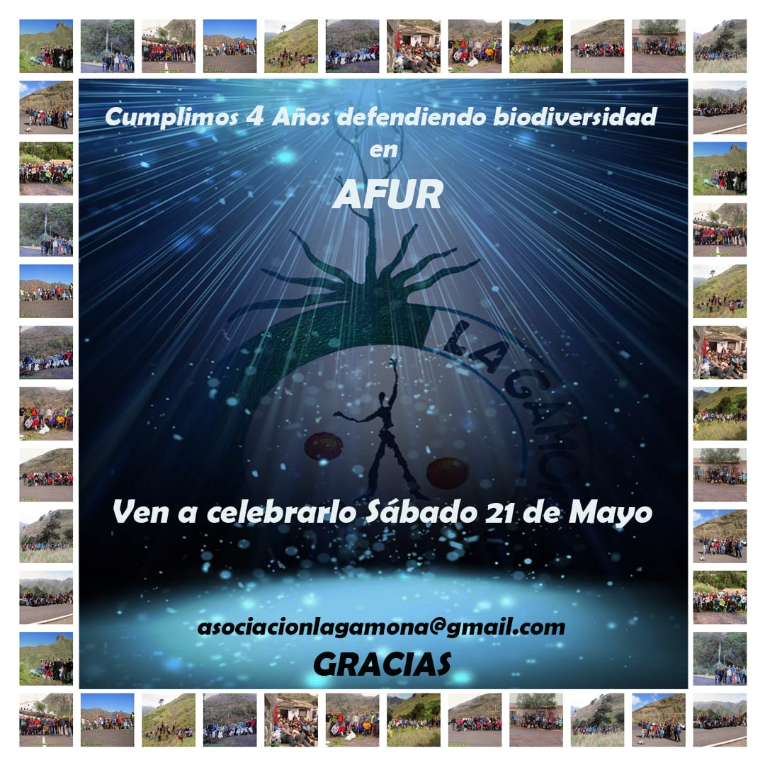 Hace 4 Años que estamos defendiendo biodiversidad en AFUR, nuestra lucha contra el rabo de gato continua, ven a celebrarlo.
sábado 21 de mayo 
forms.gle/pS6GU47W36tMWf…