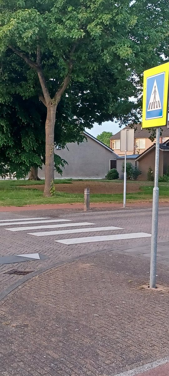 #dtv <a href="/WestBetuwe/">West Betuwe</a> wat zijn die mysterieuze vakken overal in Geldermalsen?  Gazon verwijderd, vooral onder bomen???