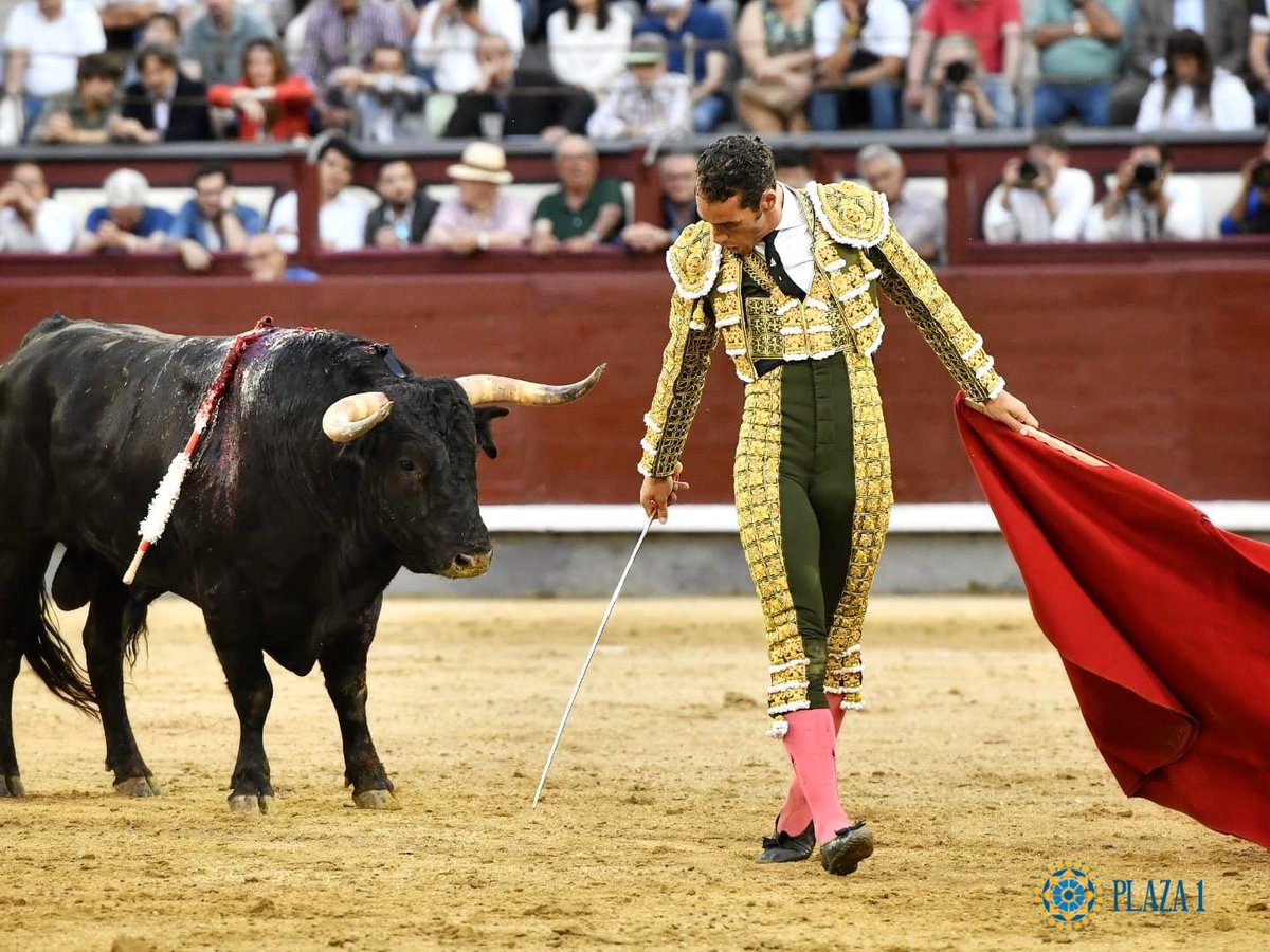 PRENSA PEPE MORAL (@pepemoraltorero) on Twitter photo Disposición, torería, valor y pundonor. Tarde sin lote de <a href="/PPMoral/">Pepe Moral</a> en <a href="/LasVentas/">Plaza de Las Ventas</a>. Muy por encima de sus oponentes. El primero se rajo muy pronto (sin acero) y el segundo no trasmitió más allá del valor que puso el #NaturalEterno que lo mató de gran estocada. Disposición, torería, valor y pundonor. Tarde sin lote de <a href="/PPMoral/">Pepe Moral</a> en <a href="/LasVentas/">Plaza de Las Ventas</a>. Muy por encima de sus oponentes. El primero se rajo muy pronto (sin acero) y el segundo no trasmitió más allá del valor que puso el #NaturalEterno que lo mató de gran estocada.
