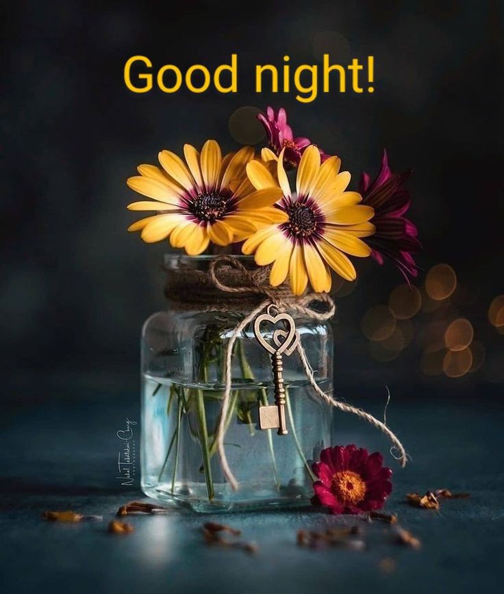 WeStudentNurse's tweet photo. Thank you, all for keeping your host
@nadeshka99 company today.
Don't forget to join us tomorrow for meds revisionsπ #WeStN #WeStNsMedRevision https://t.co/3AcVDxjKO7
