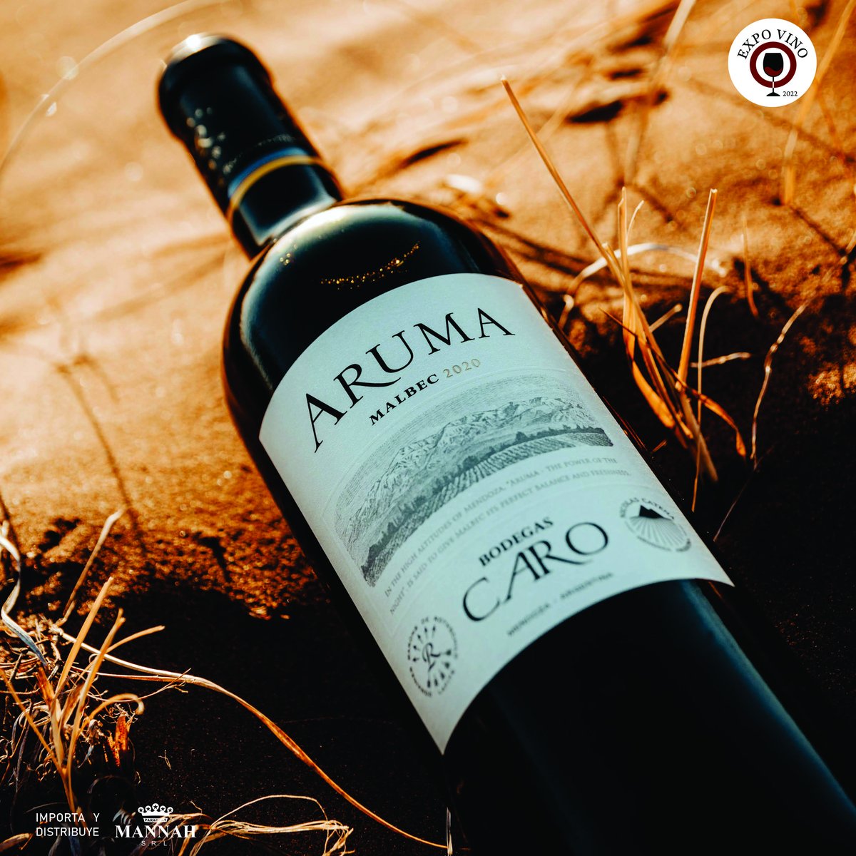 ExpoVinoPy's tweet photo. BODEGAS CARO ARUMA 🍷
Vuelve la @expovinopy donde podrás encontrar lo mejor en vinos de la mano de Mannah S.R.L. 🍷🍷✨
▶️Entradas SOLD OUT
#vino #vinho #wine #winelover #winetasting #terranoble #vinoargentino #expovinopy #expovino2022 #mannah #mannahsrl @mannahsrl https://t.co/pbuhF0qCrq
