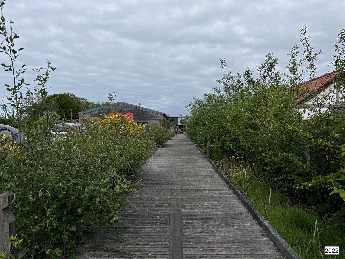 Sarah Jones-Morris (@landsmith_sarah) on Twitter photo <a href="/landsmithassocs/">Landsmith Associates</a> 1st designed & built project <a href="/AvalonMarshes/">Avalon Marshes</a> w/<a href="/OrmeLtd/">Orme Architecture</a>, finished 2019. #Covid hit, zero maintenance & yet planting thrived & colonised - rapid changes but looking great - naturalistic, bringing the nature reserve closer to visitors
Planting by <a href="/FlaviaGoldswor1/">Flavia Goldsworthy</a>, <a href="/landsmithassocs/">Landsmith Associates</a> 1st designed & built project <a href="/AvalonMarshes/">Avalon Marshes</a> w/<a href="/OrmeLtd/">Orme Architecture</a>, finished 2019. #Covid hit, zero maintenance & yet planting thrived & colonised - rapid changes but looking great - naturalistic, bringing the nature reserve closer to visitors
Planting by <a href="/FlaviaGoldswor1/">Flavia Goldsworthy</a>,