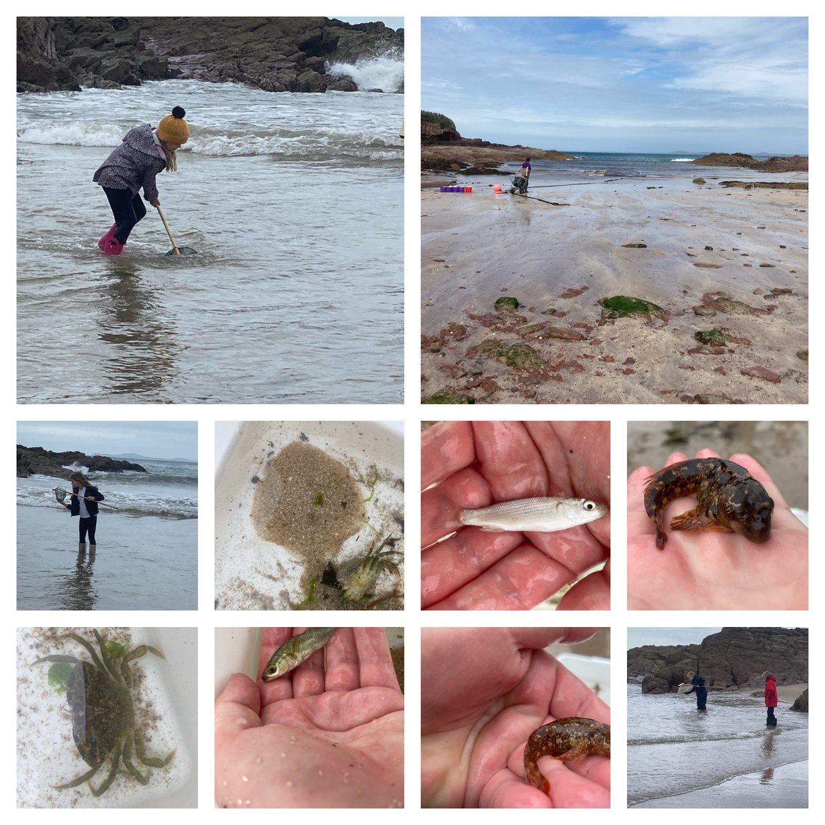 Today we braved the elements at St.Brides with @coastlandsnews. A dry start followed by heavy rain! That didn’t stop the motivation and enthusiasm for finding shore crabs! #fieldtrip #youngmarinebiologists #rockyshore #rockpooling #youngecologists #pembrokeshire #outdoorlearning