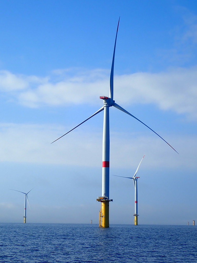 FrceEnergiesMar's tweet photo. Le projet #FISHOWF déploie son réseau de récepteurs de télémétrie acoustique pour suivre les effets des parcs éoliens en mer sur les poissons et les crustacés. En collaboration avec @EDF_RE et @rte_france, 17 récepteurs ont été déployés à @EolienMerSNA les 4 et 5 mai derniers. https://t.co/aPrDtUQcCa
