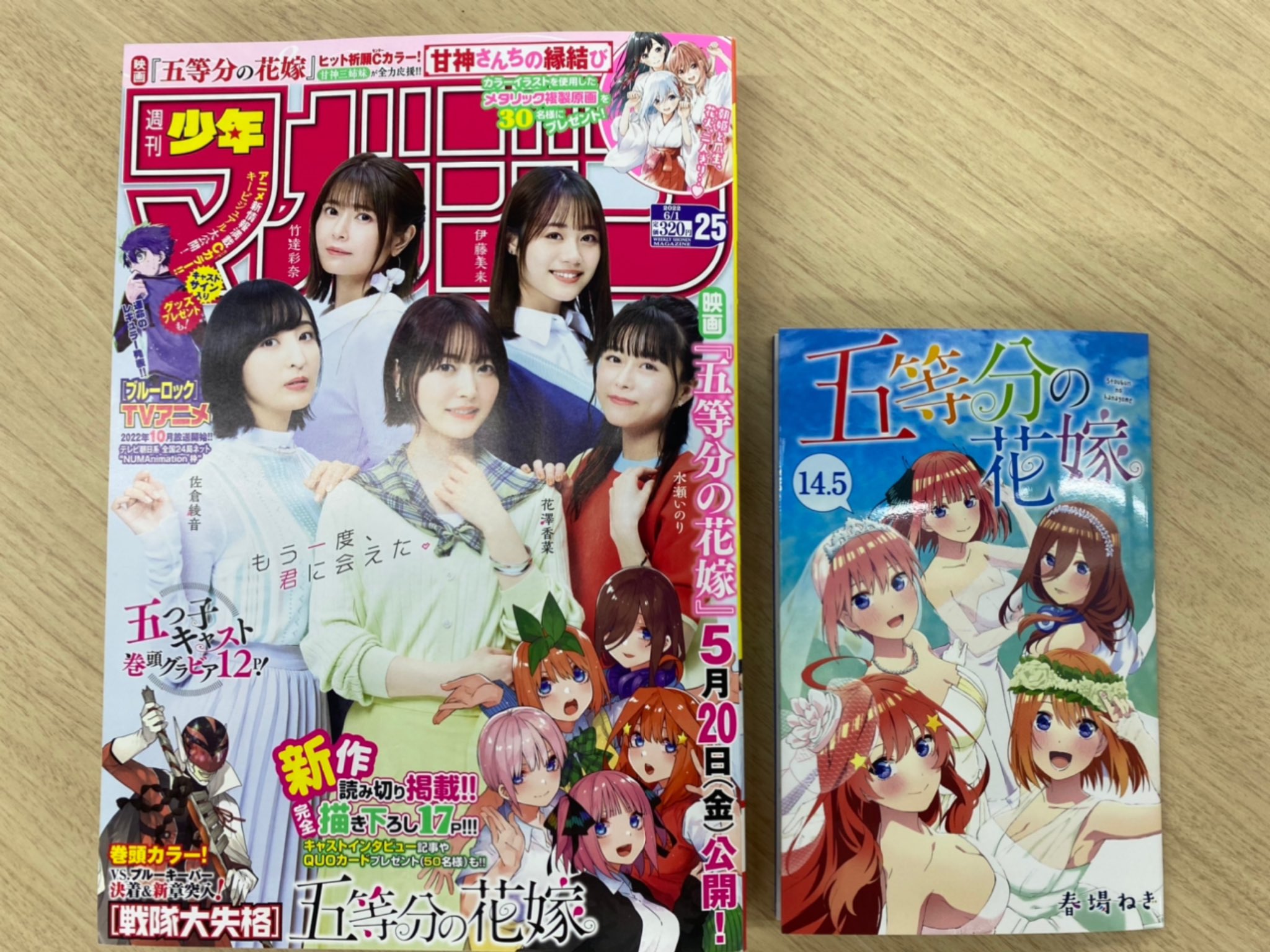 最新入荷 五等分の花嫁14.5 その他 - bestcheerstone.com 最新入荷 五等分の花嫁14.5 その他 - bestcheerstone.com