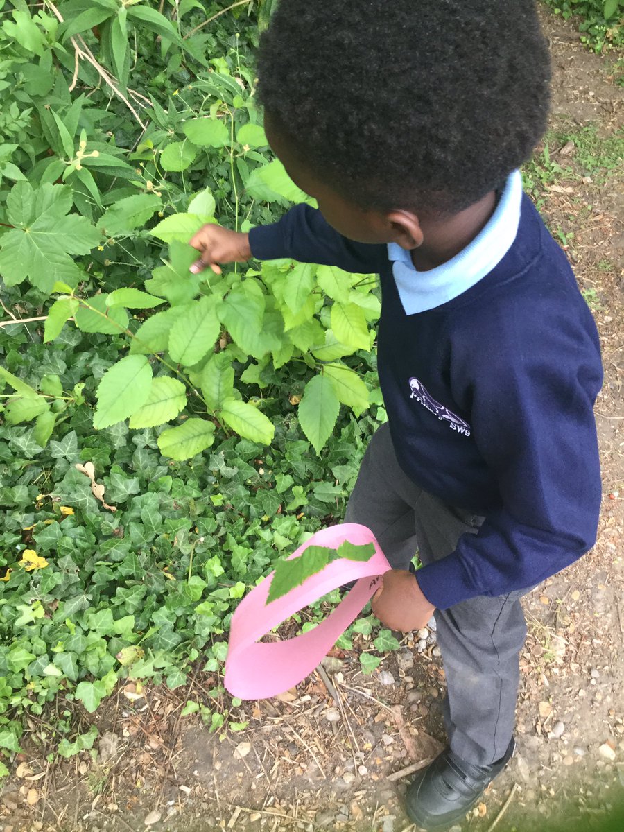 Christchurchsw9's tweet photo. Oak class made crowns using leaves, sticks, buttercups and grass from our forest area๐ณ๐ณ #outdoorlearning #naturalresources #SW9Partnership https://t.co/RpVkBu61ps
